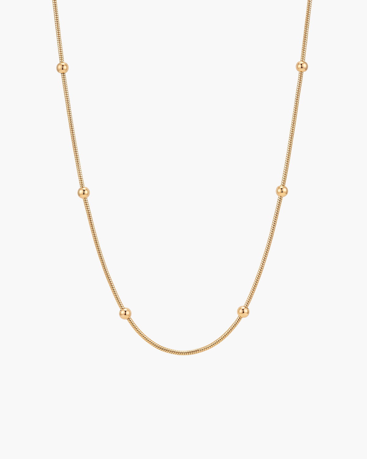 Bella Necklace, thin gold-tone snake chain with evenly spaced polished gold beads, on white
